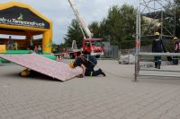 IMG_9855 (Large)